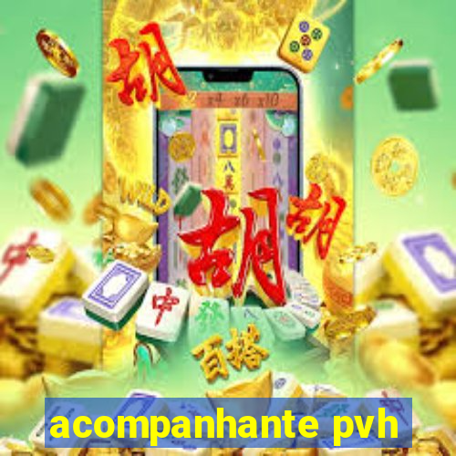 acompanhante pvh